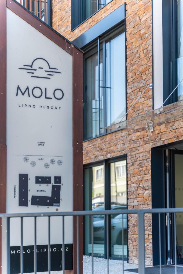 Apartman Molo Lipno リプノ・ナト・ヴルタヴォウ エクステリア 写真