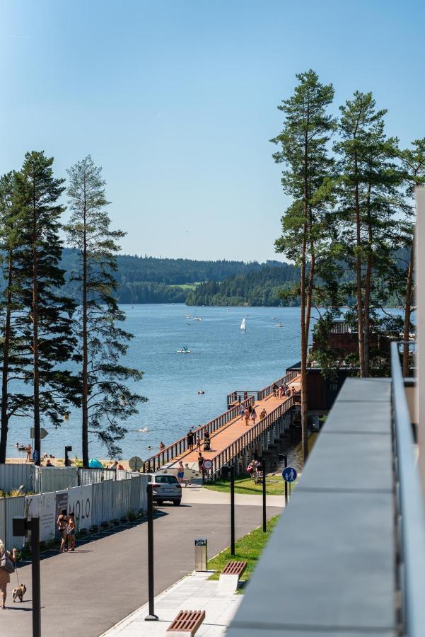 Apartman Molo Lipno リプノ・ナト・ヴルタヴォウ エクステリア 写真